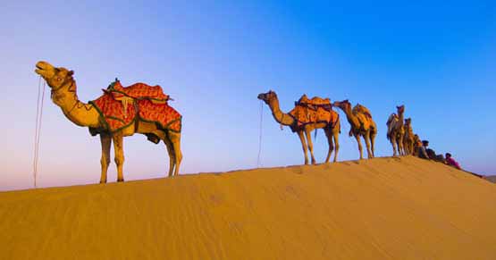 Best Time to Visit Rajasthan