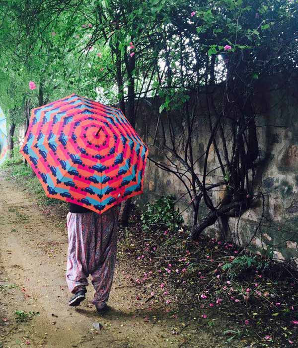 Rajasthan Monsoon Packages