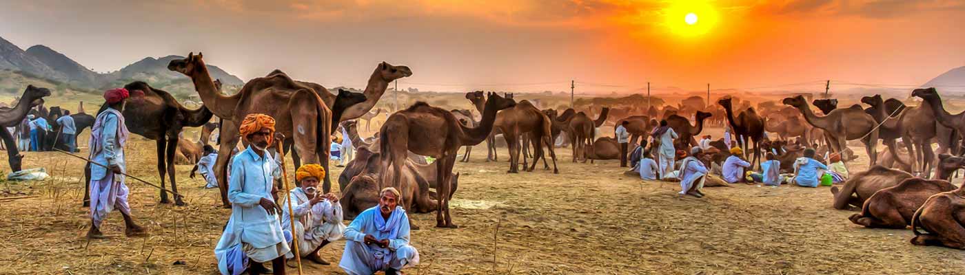 Pushkar Fair Tour Package